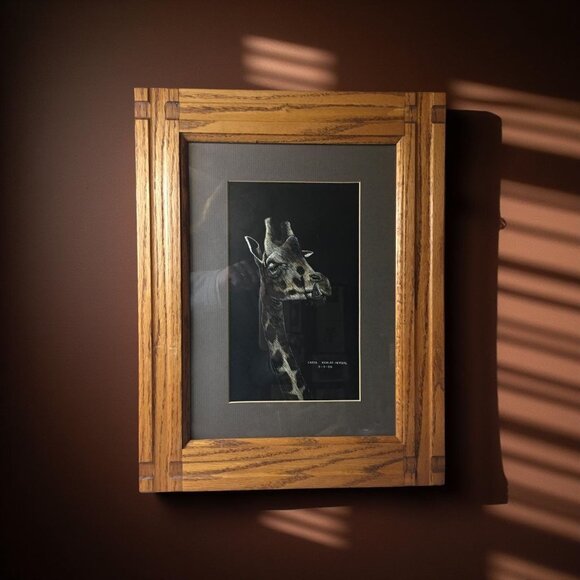 Original Scratchboard Giraffe Portrait by Carol Kehler-Hemdal (1985), Registered - Picture 10 of 14